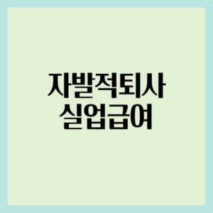 자발적퇴사 실업급여